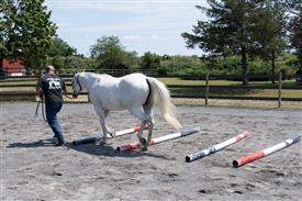 LR-WRF 08022025-Retreat-3284